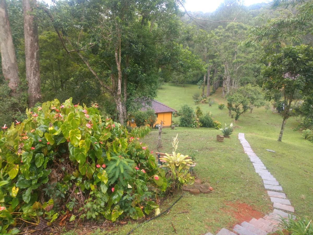 Familia Ximenes - Chácara na Serra 